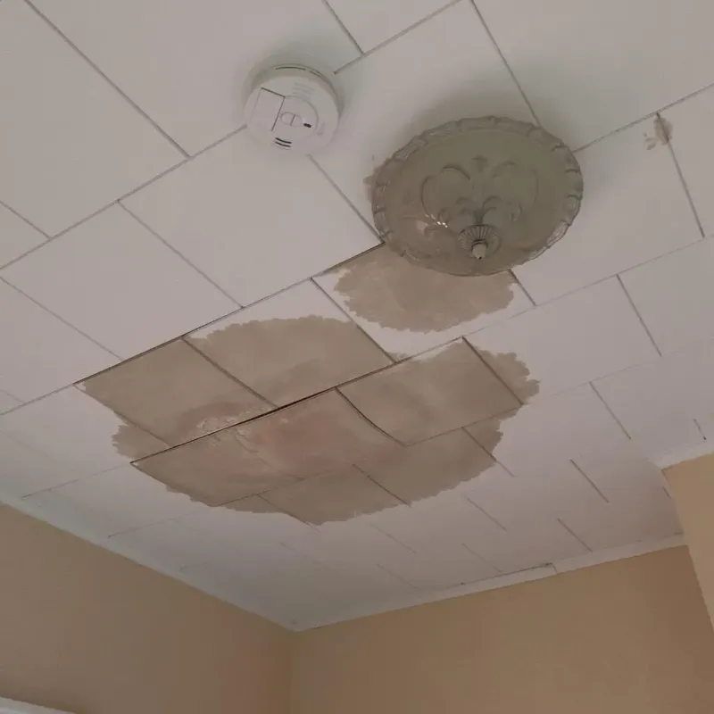 Ceiling Water Damage Repair in Geary, OK