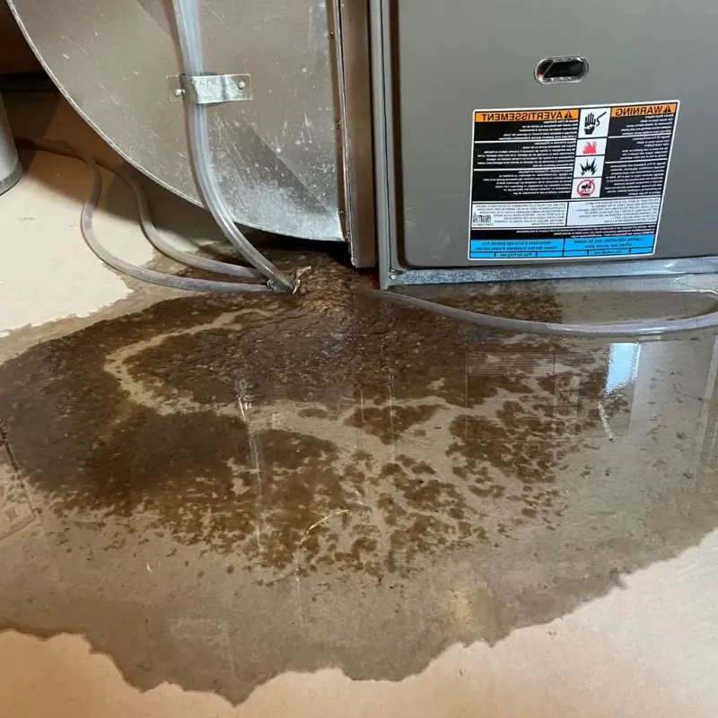 Pipe Burst and Leak Restoration in Geary, OK